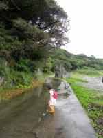 屋久島で釣りと散歩と温泉・露天風呂＠湯泊（1） - Photo No.6