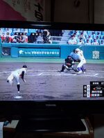 高校野球観戦