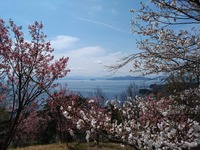 うなぎの寝床 #10856