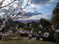 うなぎの寝床 #10857