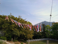 うなぎの寝床 #10865