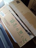うなぎの寝床 #10916