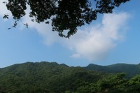 うなぎの寝床 #10929