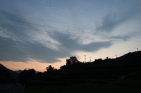 うなぎの寝床 #10942