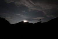 うなぎの寝床 #10951