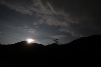 うなぎの寝床 #10952