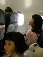 うなぎの寝床 #10967