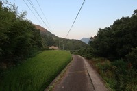 美しい里山