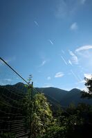 うなぎの寝床 #11005