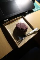 うなぎの寝床 #11022