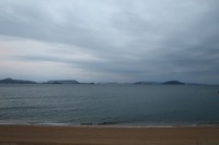 うなぎの寝床 #11034