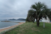 うなぎの寝床 #11036