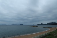 うなぎの寝床 #11038