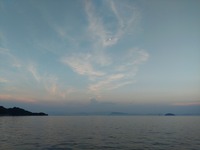 うなぎの寝床 #11049