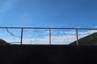 うなぎの寝床 #11054
