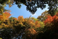 うなぎの寝床 #11057