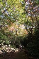 うなぎの寝床 #11059