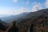 うなぎの寝床 #11067