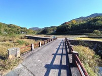 うなぎの寝床 #11068