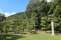 うなぎの寝床 #11070