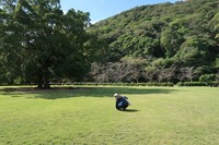 うなぎの寝床 #11071