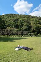 うなぎの寝床 #11072