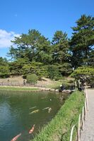 うなぎの寝床 #11073