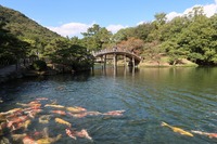 うなぎの寝床 #11076