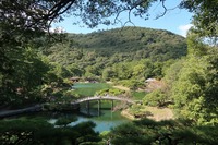 うなぎの寝床 #11077