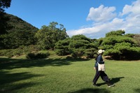 うなぎの寝床 #11078