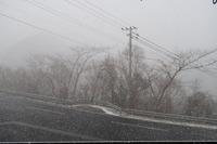 うなぎの寝床 #11083