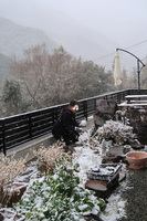 うなぎの寝床 #11085