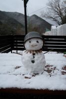 うなぎの寝床 #11086