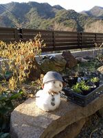 うなぎの寝床 #11091