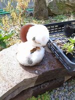 うなぎの寝床 #11092