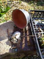 うなぎの寝床 #11093