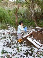 うなぎの寝床 #11094