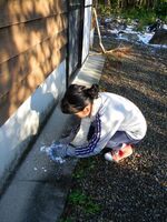 うなぎの寝床 #11096