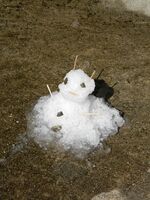 うなぎの寝床 #11100