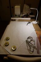 うなぎの寝床 #11105