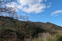 うなぎの寝床 #11110