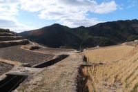 うなぎの寝床 #11111