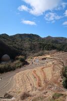 うなぎの寝床 #11112