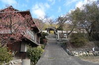 うなぎの寝床 #11116