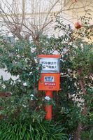 うなぎの寝床 #11117