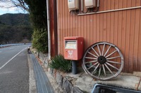 うなぎの寝床 #11118