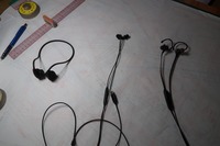 うなぎの寝床 #11121