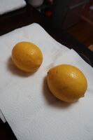 うなぎの寝床 #11122