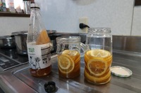 うなぎの寝床 #11128