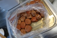 うなぎの寝床 #11136